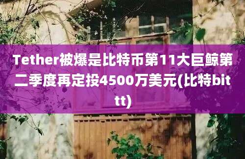 Tether被爆是比特币第11大巨鲸第二季度再定投4500万美元(比特bittt)