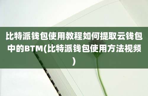 比特派钱包使用教程如何提取云钱包中的BTM(比特派钱包使用方法视频)