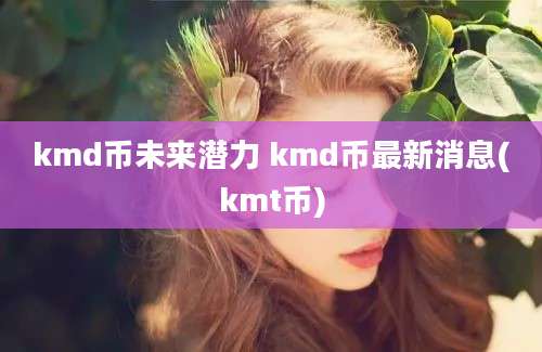 kmd币未来潜力 kmd币最新消息(kmt币)