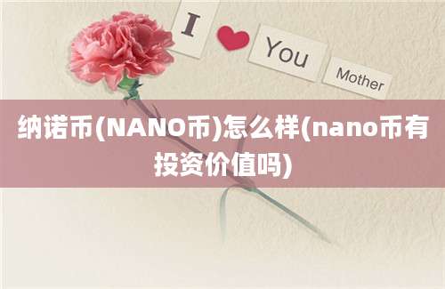 纳诺币(NANO币)怎么样(nano币有投资价值吗)