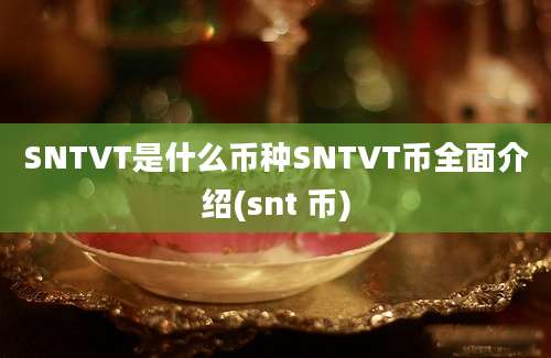 SNTVT是什么币种SNTVT币全面介绍(snt 币)