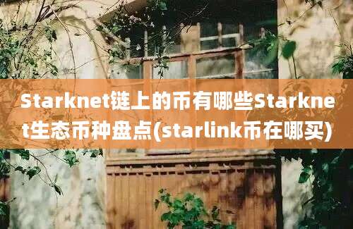 Starknet链上的币有哪些Starknet生态币种盘点(starlink币在哪买)