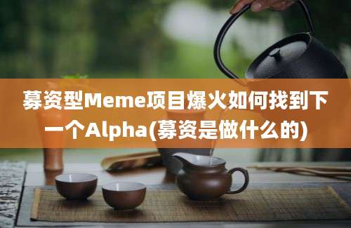 募资型Meme项目爆火如何找到下一个Alpha(募资是做什么的)