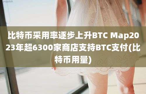 比特币采用率逐步上升BTC Map2023年超6300家商店支持BTC支付(比特币用量)