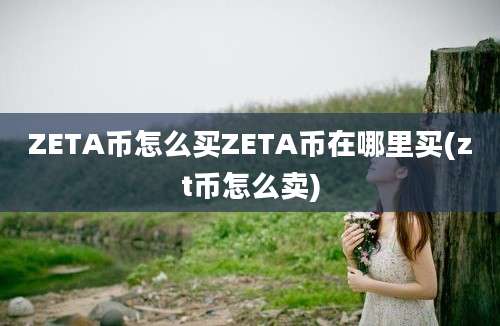 ZETA币怎么买ZETA币在哪里买(zt币怎么卖)