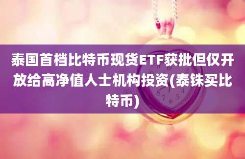 泰国首档比特币现货ETF获批但仅开放给高净值人士机构投资(泰铢买比特币)