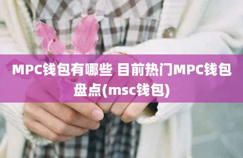 MPC钱包有哪些 目前热门MPC钱包盘点(msc钱包)