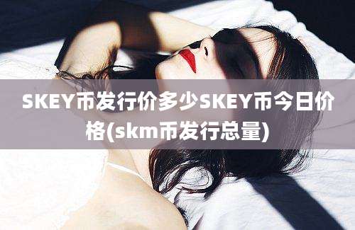 SKEY币发行价多少SKEY币今日价格(skm币发行总量)