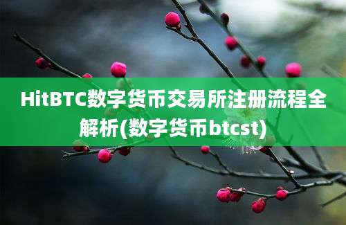 HitBTC数字货币交易所注册流程全解析(数字货币btcst)