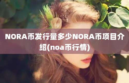 NORA币发行量多少NORA币项目介绍(noa币行情)