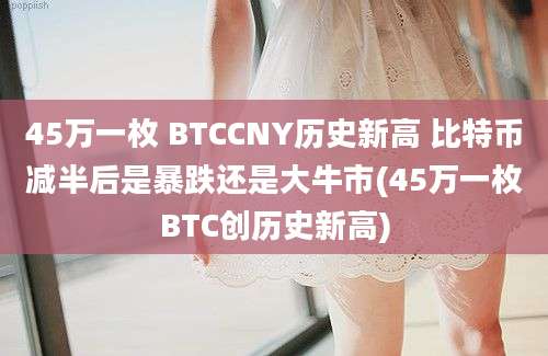 45万一枚 BTCCNY历史新高 比特币减半后是暴跌还是大牛市(45万一枚BTC创历史新高)