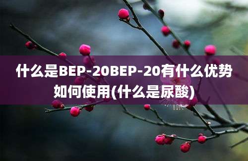 什么是BEP-20BEP-20有什么优势如何使用(什么是尿酸)