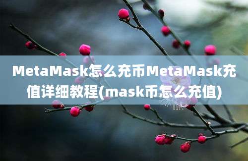 MetaMask怎么充币MetaMask充值详细教程(mask币怎么充值)