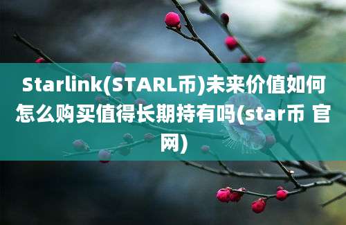 Starlink(STARL币)未来价值如何怎么购买值得长期持有吗(star币 官网)