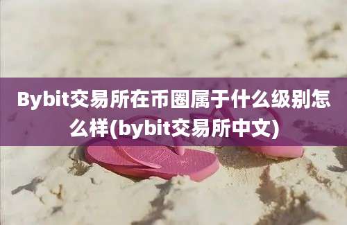 Bybit交易所在币圈属于什么级别怎么样(bybit交易所中文)