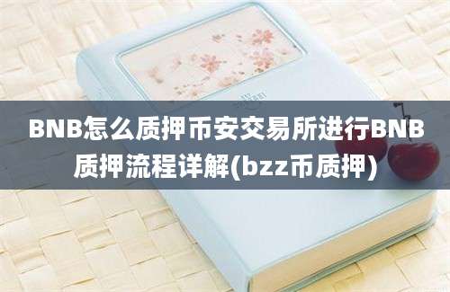 BNB怎么质押币安交易所进行BNB质押流程详解(bzz币质押)