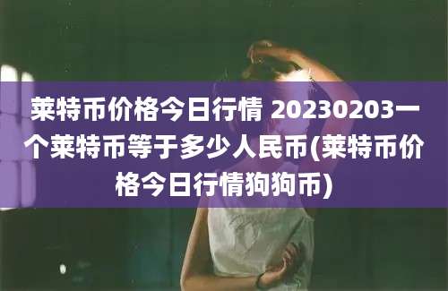 莱特币价格今日行情 20230203一个莱特币等于多少人民币(莱特币价格今日行情狗狗币)