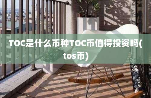 TOC是什么币种TOC币值得投资吗(tos币)