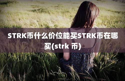 STRK币什么价位能买STRK币在哪买(strk 币)