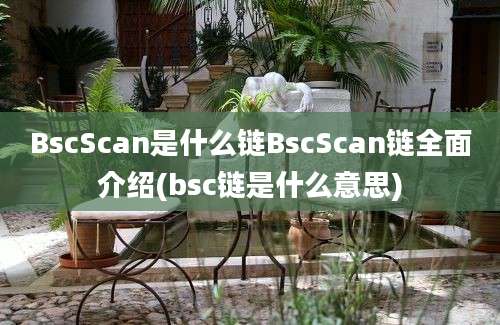 BscScan是什么链BscScan链全面介绍(bsc链是什么意思)