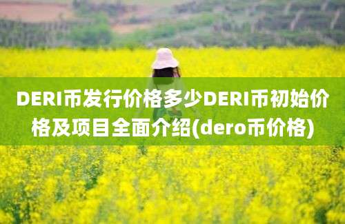 DERI币发行价格多少DERI币初始价格及项目全面介绍(dero币价格)