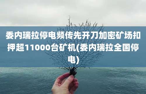 委内瑞拉停电频传先开刀加密矿场扣押超11000台矿机(委内瑞拉全国停电)