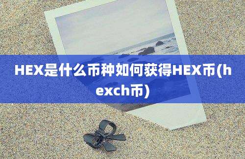 HEX是什么币种如何获得HEX币(hexch币)