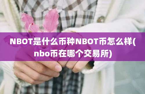 NBOT是什么币种NBOT币怎么样(nbo币在哪个交易所)