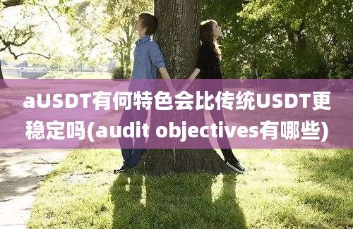 aUSDT有何特色会比传统USDT更稳定吗(audit objectives有哪些)