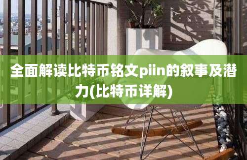 全面解读比特币铭文piin的叙事及潜力(比特币详解)