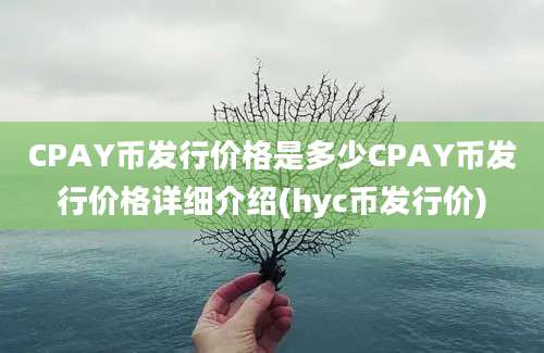 CPAY币发行价格是多少CPAY币发行价格详细介绍(hyc币发行价)