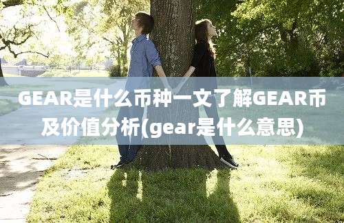 GEAR是什么币种一文了解GEAR币及价值分析(gear是什么意思)