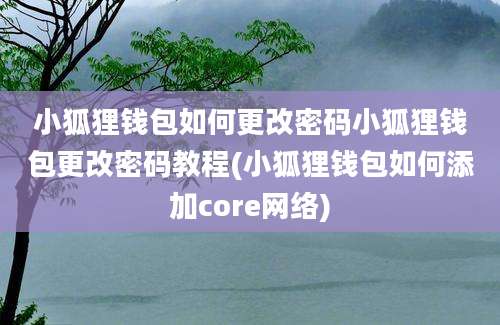 小狐狸钱包如何更改密码小狐狸钱包更改密码教程(小狐狸钱包如何添加core网络)