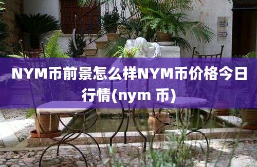 NYM币前景怎么样NYM币价格今日行情(nym 币)