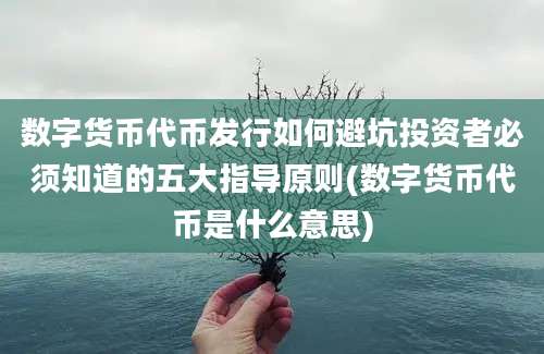 数字货币代币发行如何避坑投资者必须知道的五大指导原则(数字货币代币是什么意思)