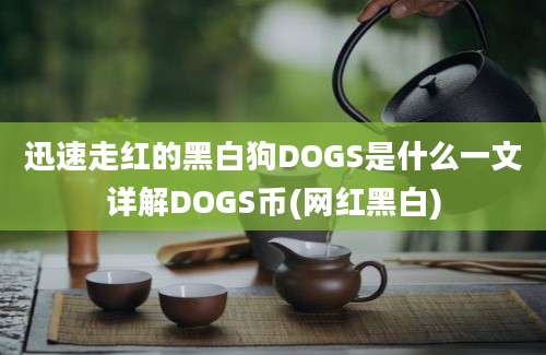 迅速走红的黑白狗DOGS是什么一文详解DOGS币(网红黑白)