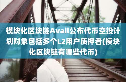 模块化区块链Avail公布代币空投计划对象包括多个L2用户质押者(模块化区块链有哪些代币)