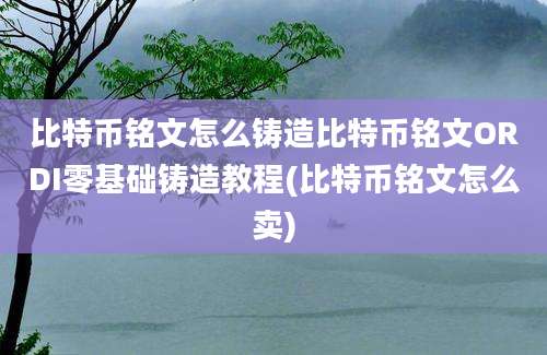 比特币铭文怎么铸造比特币铭文ORDI零基础铸造教程(比特币铭文怎么卖)