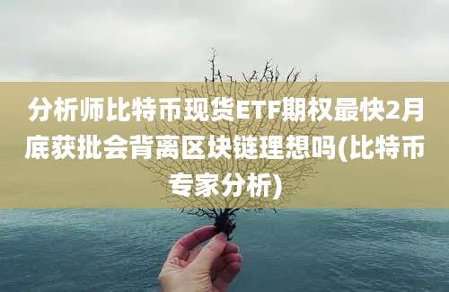 分析师比特币现货ETF期权最快2月底获批会背离区块链理想吗(比特币专家分析)