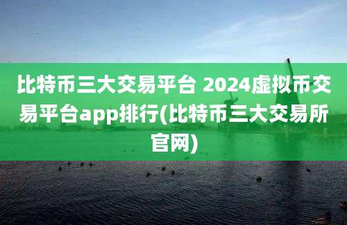 比特币三大交易平台 2024虚拟币交易平台app排行(比特币三大交易所官网)