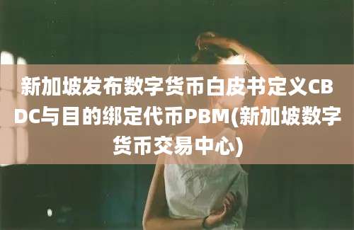 新加坡发布数字货币白皮书定义CBDC与目的绑定代币PBM(新加坡数字货币交易中心)