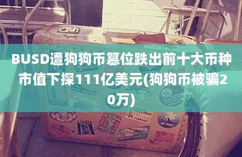 BUSD遭狗狗币篡位跌出前十大币种 市值下探111亿美元(狗狗币被骗20万)