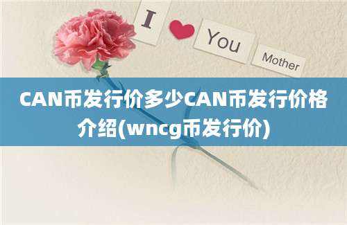 CAN币发行价多少CAN币发行价格介绍(wncg币发行价)