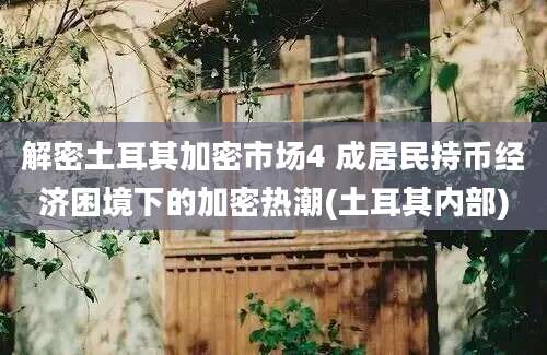 解密土耳其加密市场4 成居民持币经济困境下的加密热潮(土耳其内部)