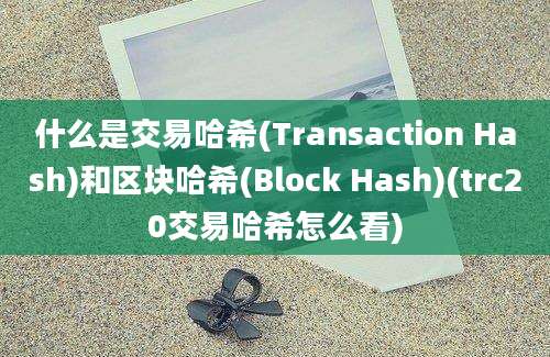 什么是交易哈希(Transaction Hash)和区块哈希(Block Hash)(trc20交易哈希怎么看)