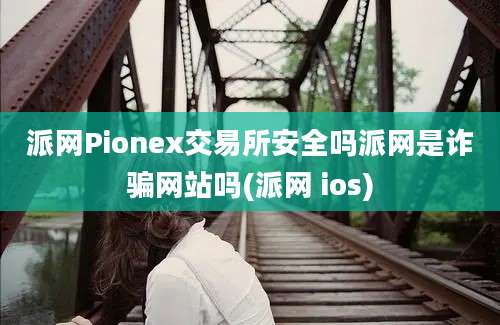 派网Pionex交易所安全吗派网是诈骗网站吗(派网 ios)