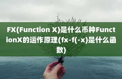 FX(Function X)是什么币种FunctionX的运作原理(fx-f(-x)是什么函数)