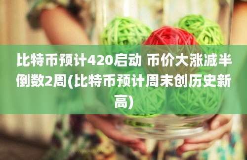 比特币预计420启动 币价大涨减半倒数2周(比特币预计周末创历史新高)