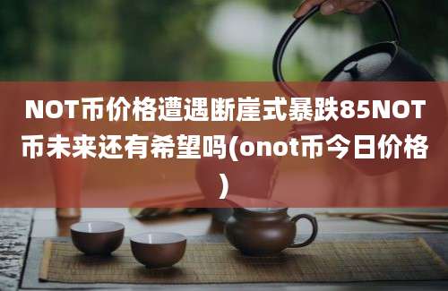 NOT币价格遭遇断崖式暴跌85NOT币未来还有希望吗(onot币今日价格)