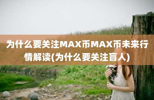 为什么要关注MAX币MAX币未来行情解读(为什么要关注盲人)